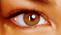 kristin kreuk eyes