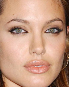 Angelina Jolie's lips