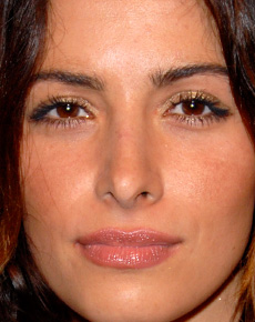 Sarah Shahi's Face